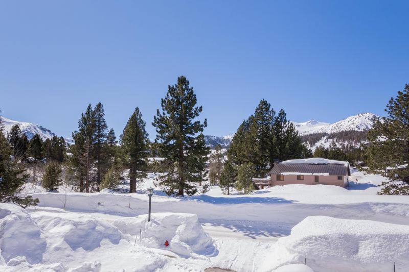 Mammoth Green # 105 Mammoth Lakes Room photo